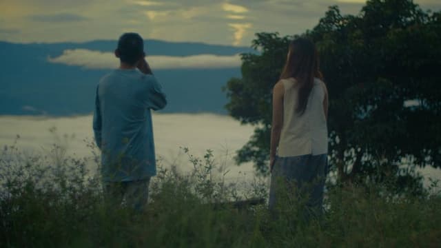 Beneath the Firefly Veil