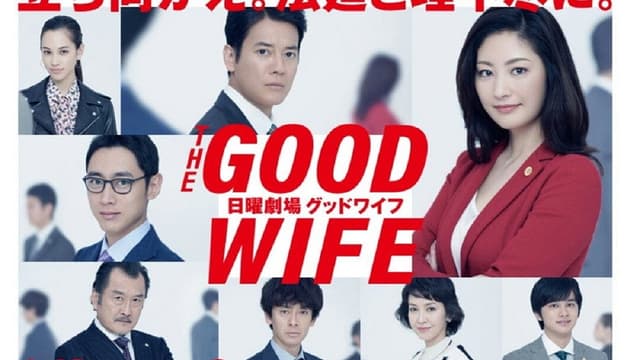 The Good Wife