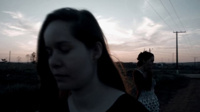 Abaixo das Árvores