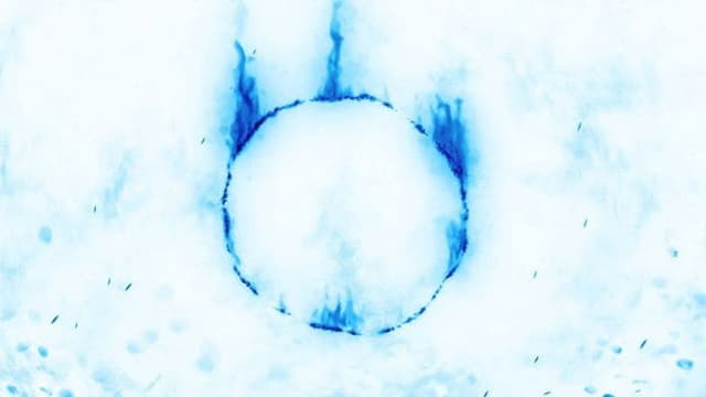 Sabaku, Cydonia e Dark Souls | IL FILM [REVAMPED]