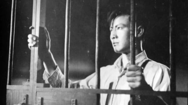 Iron Bars and Blazing Fire