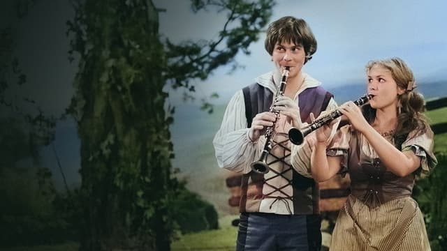 Když hraje klarinet