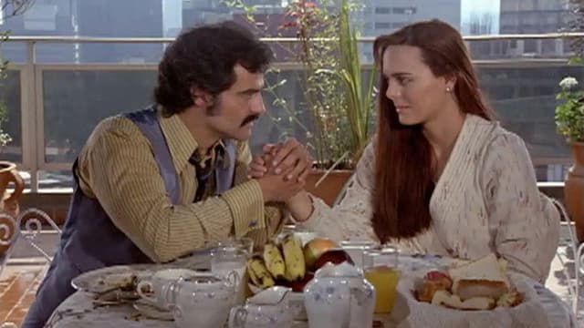 Terror and Black Lace