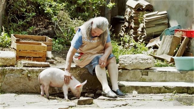 Esmeralda’s Twilight