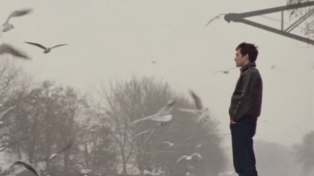 The Shoes: Time to Dance