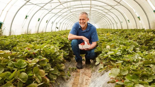 Michel Roux's Provence Masterclass