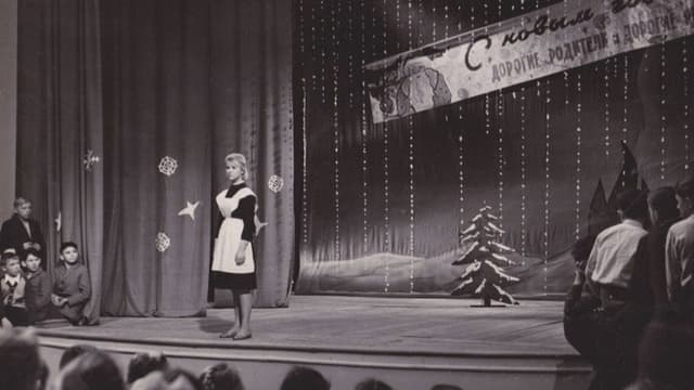 The Wild Dog Dingo