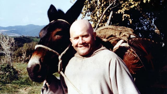 The Dogs of Jerusalem