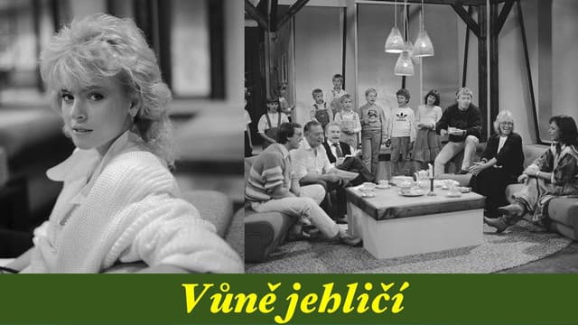 Vůně jehličí