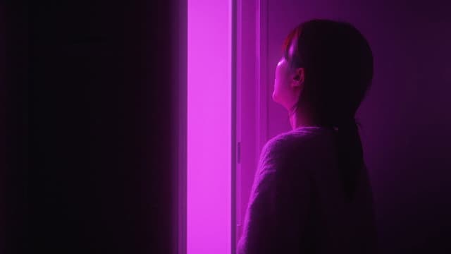 Purple Swallow