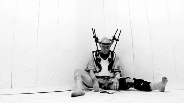 American Guinea Pig: Bloodshock