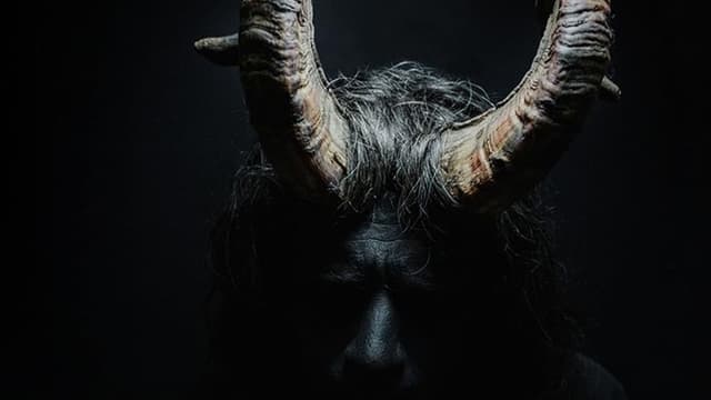 Mirtillo - numerus IX