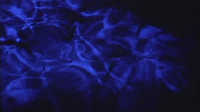 Psalm I: The Lateness of the Hour