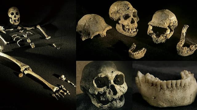 Becoming Human: Unearthing Our Earliest Ancestors