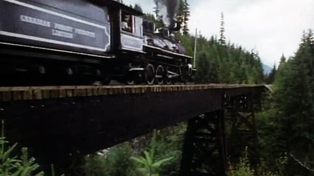 Battle for the Trees