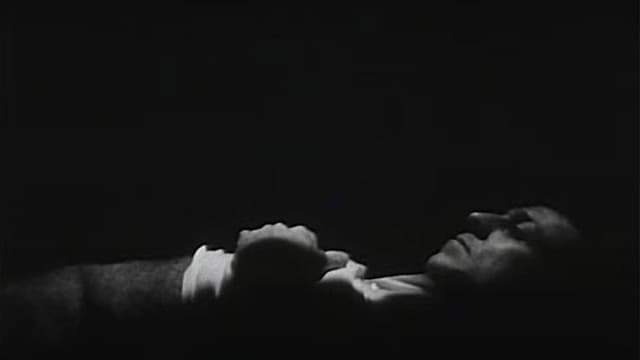 Everynight... Everynight