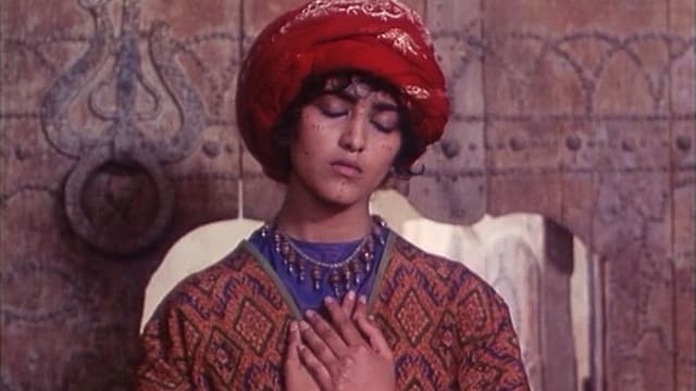 Wanderers of the Desert