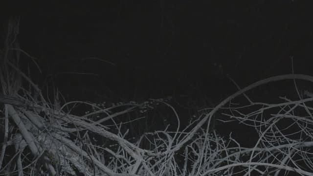 All the Planets in My Heart