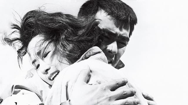 Sotobori Murder Case