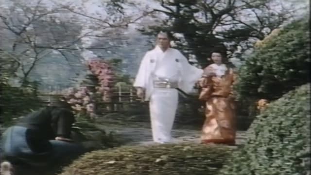 New Eros Schedule Book Concubine Secrets: Flower Storm New Year Sex