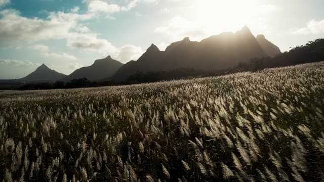 L’Offrande d’une vie