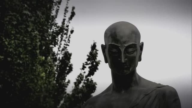 Road of Millennia Bodhi