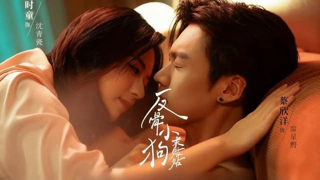 Fan Gu Xiao Gou Qiu Tie Tie