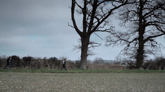 Not Far from the Tree