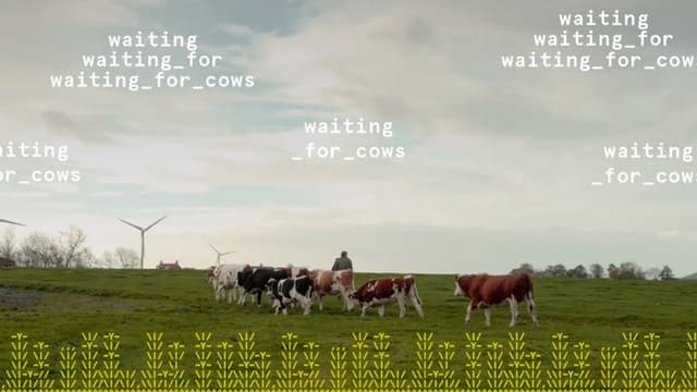 waiting_for_cows
