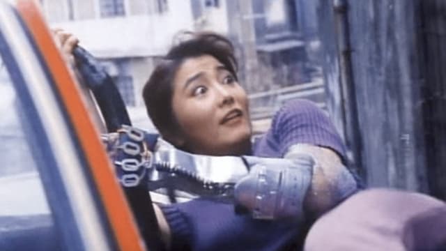 Super Lady Cop