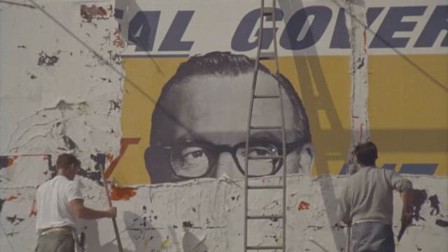 Autumn and Cardboard