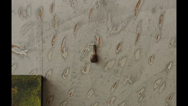 The Mark On The Wall