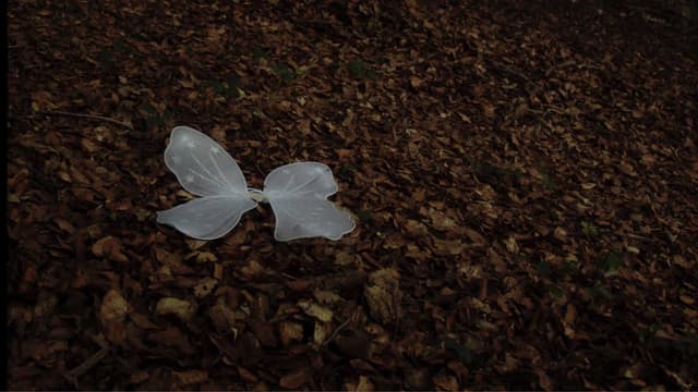 Quan ningú ens mira