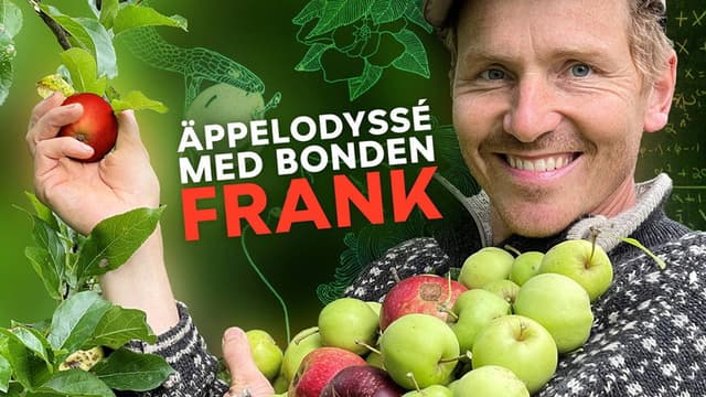 Apple picking with Frank Erichsen