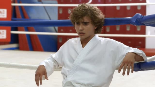 The Martial Arts Kid