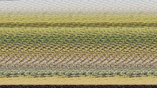 A Farewell To Cinema