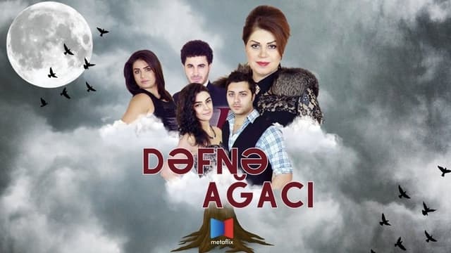 Dəfnə ağacı