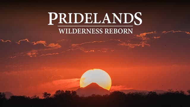 Pridelands: Wilderness Reborn