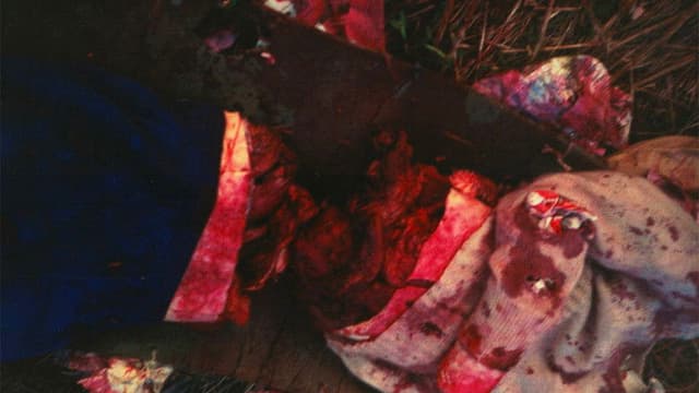 Das Wiener Kettensägenmassaker