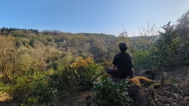 5 jours seul en forêt