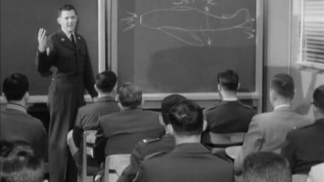 Sentinels in the Air