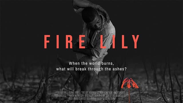 Fire Lily