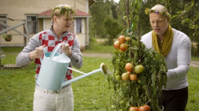Juurikasvua