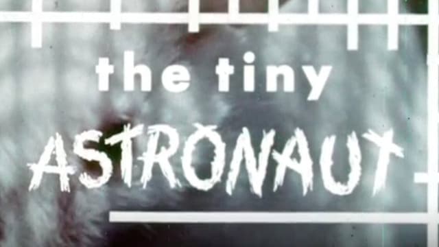 The Tiny Astronaut