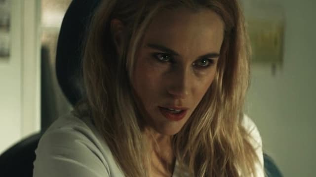 The Nights Before Christmas