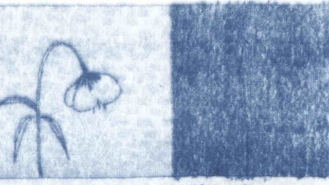 Blue Dreams of the Wind