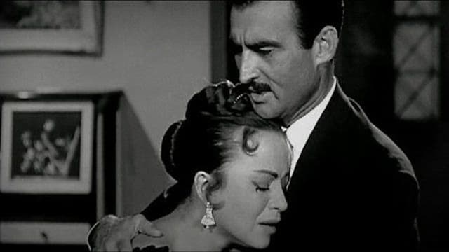 الحب الأخير