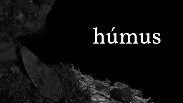 Húmus