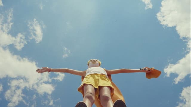 El vuelo del Cóndor