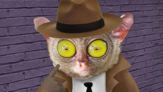 Lorenzo Delgado, Private Investigator